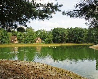 Park Molenheide Hotel Houthalen-Helchteren Bagian luar foto